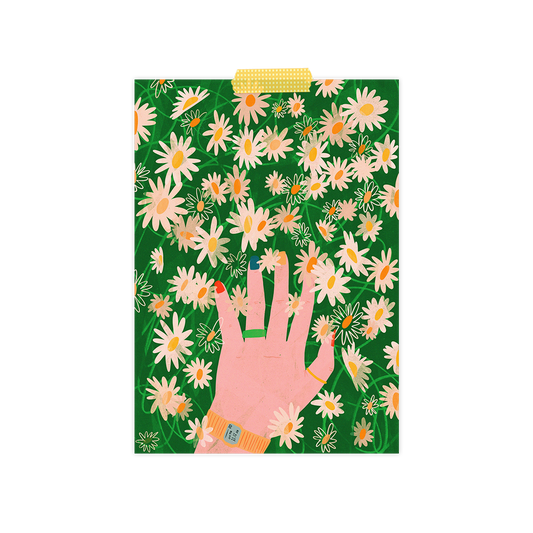 Wildflowers Dream