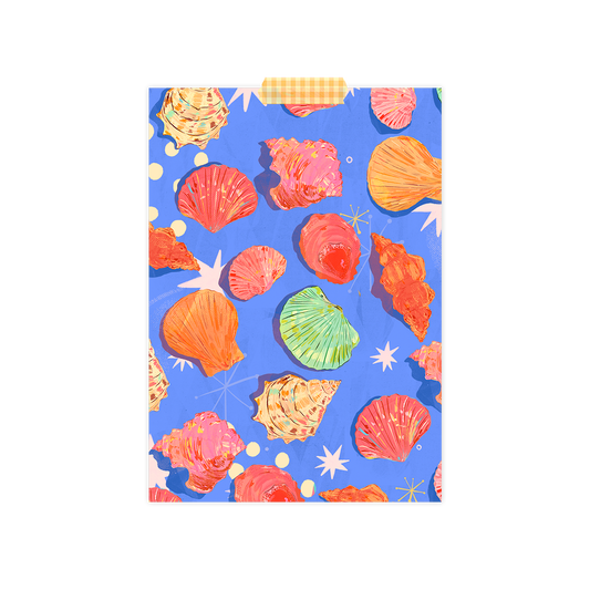 Seashells